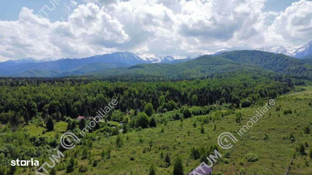 Teren extravilan 8400 mp de vanzare pe Valea Avrigului - Imagine principală: 3/4