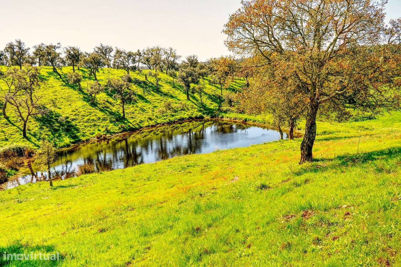 TERRENO EM S.BARTOLOMEU DA SERRA-37