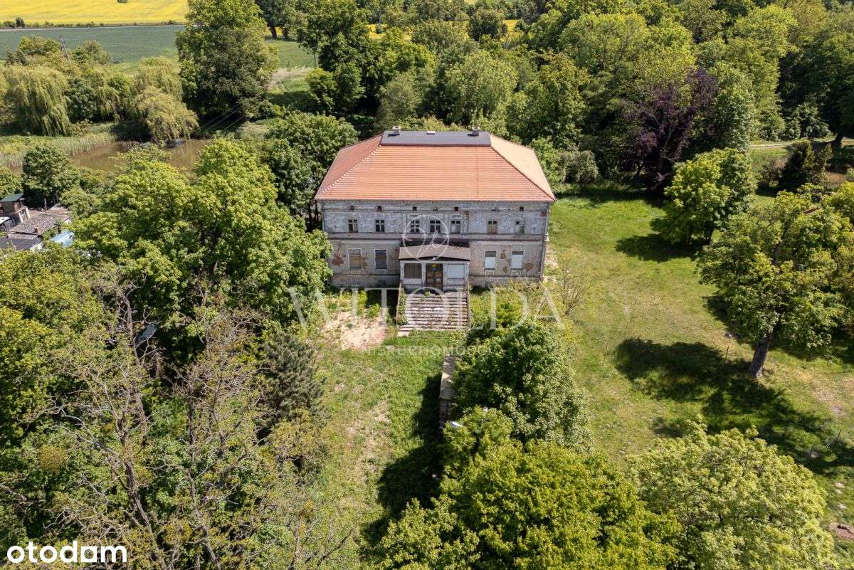 Pałac z 1845 roku | 17 km od Wrocławia | - Pełny obrazek: 4/10