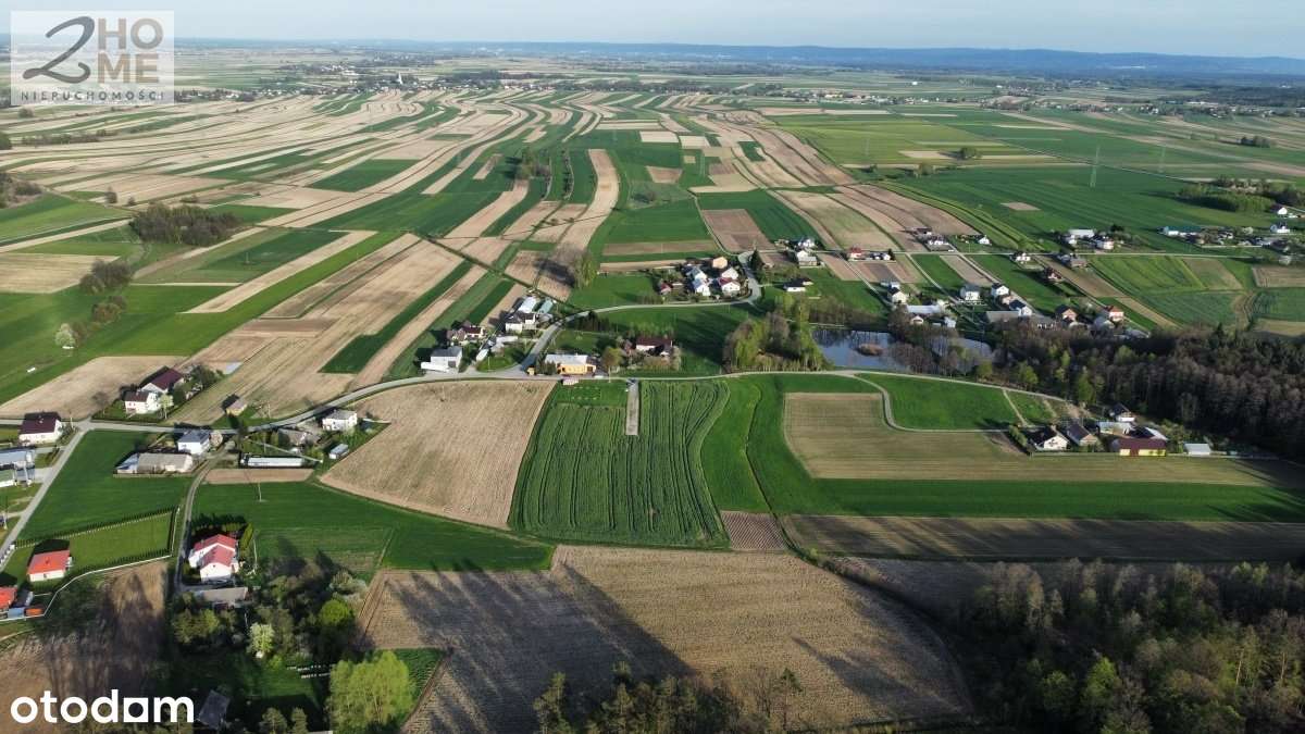 15 ar w Podlesiu k/ Nowej Jastrząbki gm. Czarna - Pełny obrazek: 5/14