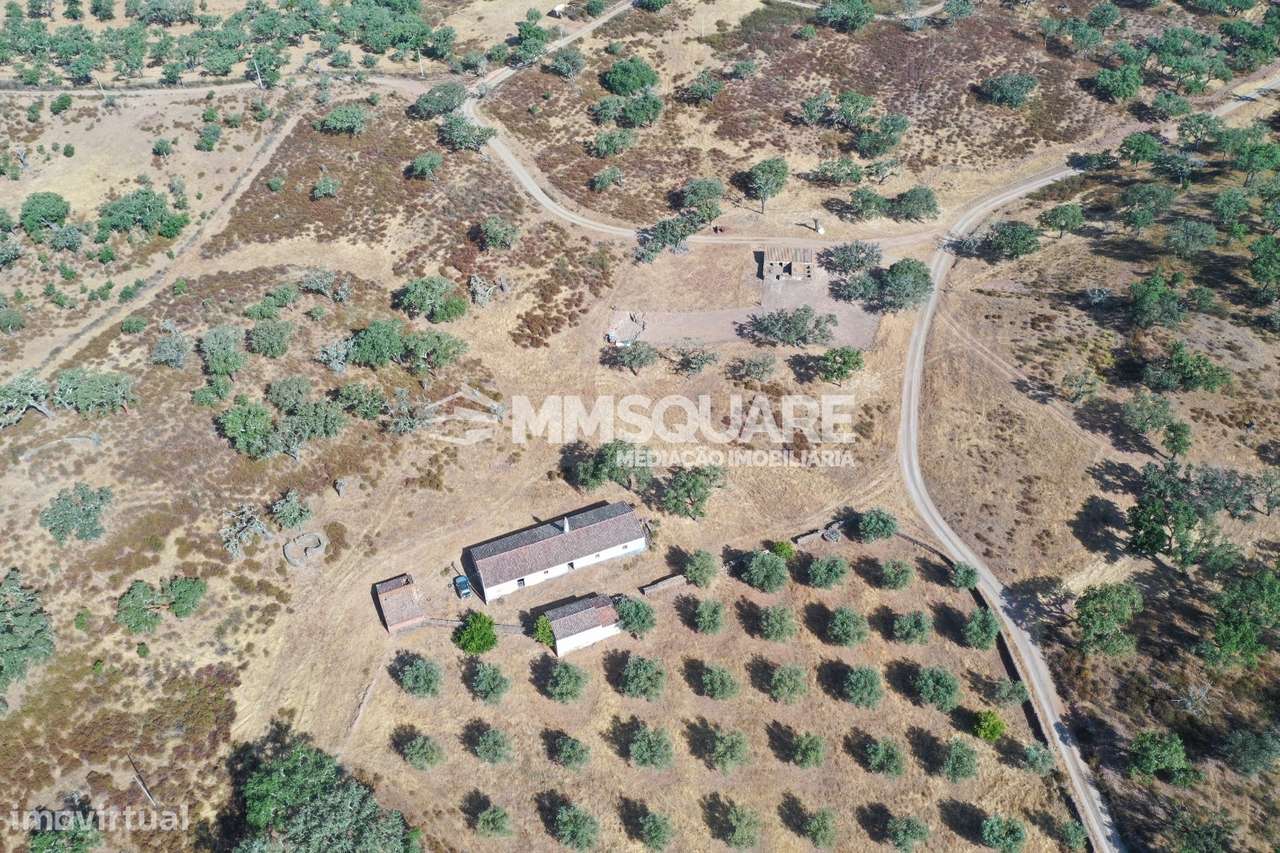 Monte do Chaparral — Ourique-7