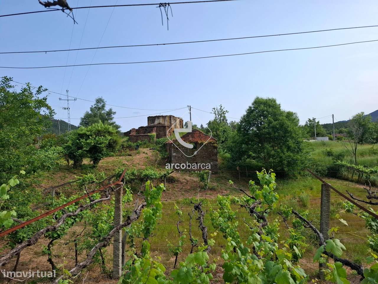 Quintinha ruinas p/restauro com 2520m2 - Moreira Lima - Ponte de Lima-13