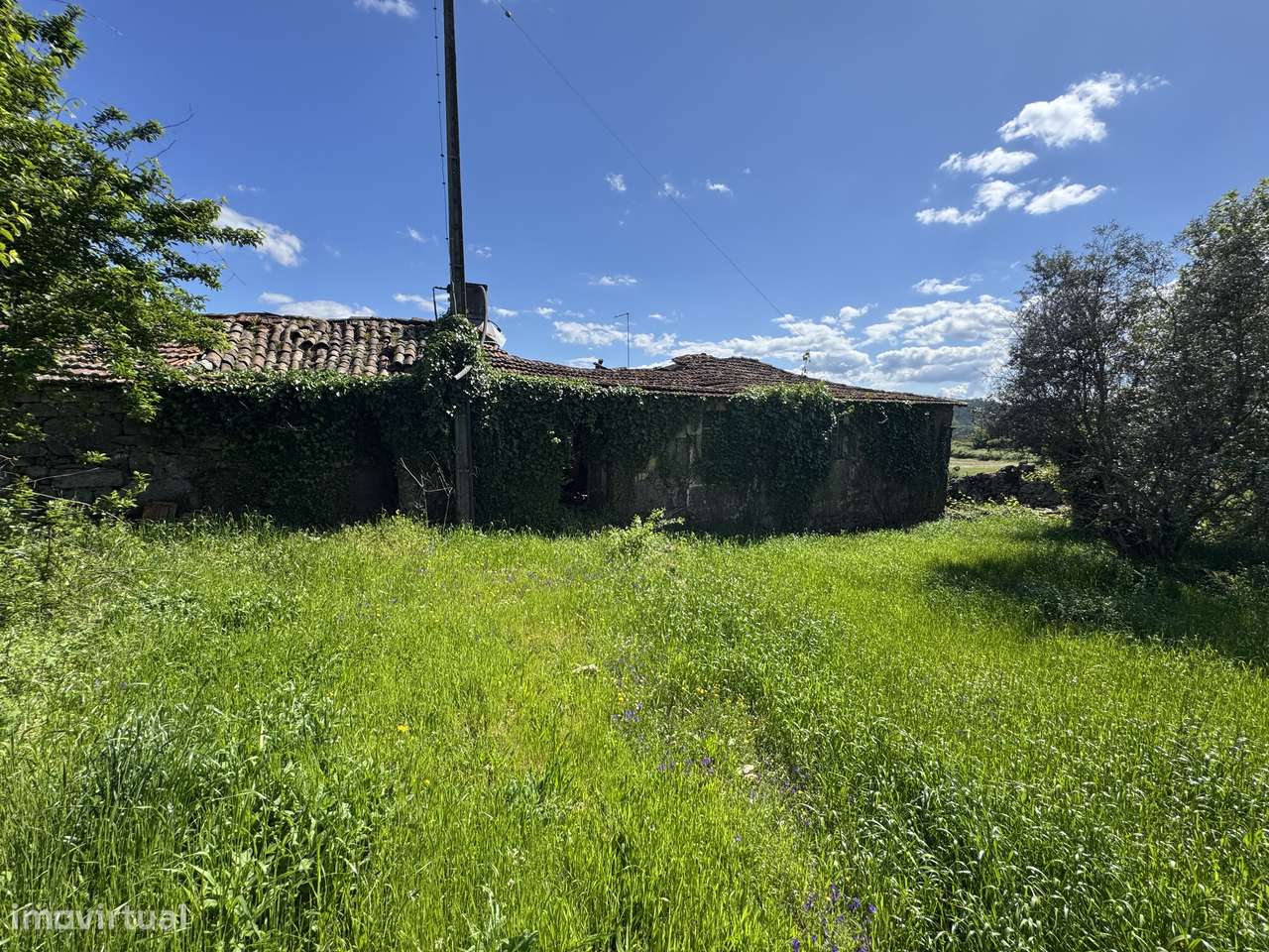 Quintinha - São Pedro do Sul - Grande imagem: 4/37