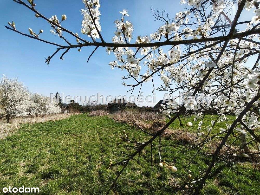 Działki budowlane w atrakcyjnej lokalizacji-6