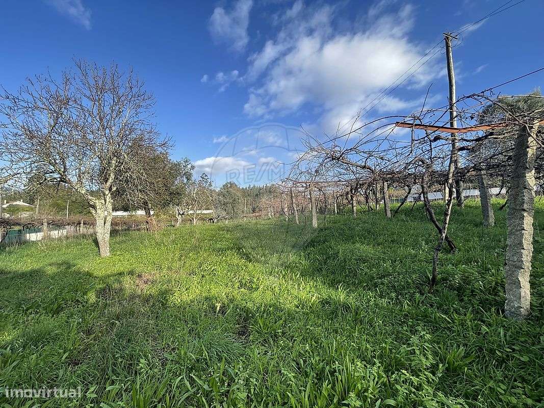 Terreno  para venda - Grande imagem: 5/11