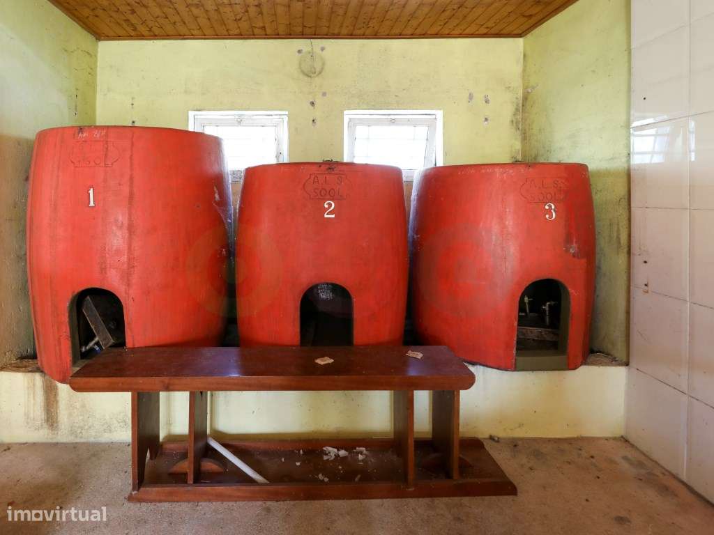 Quintinha em Famalicão-49