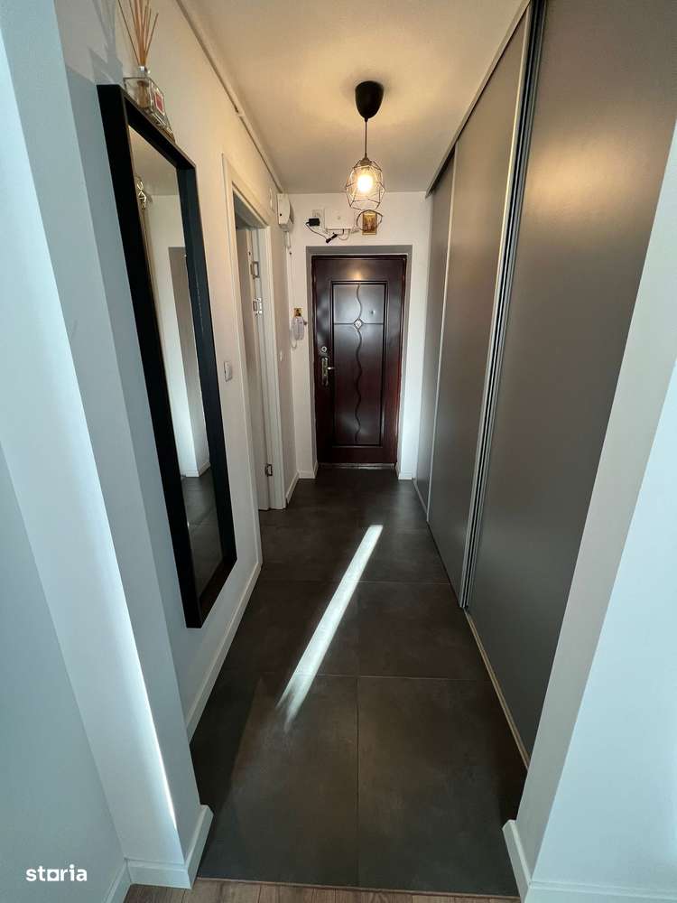 Cartier Brancusi ANL Coloana infinitului-13