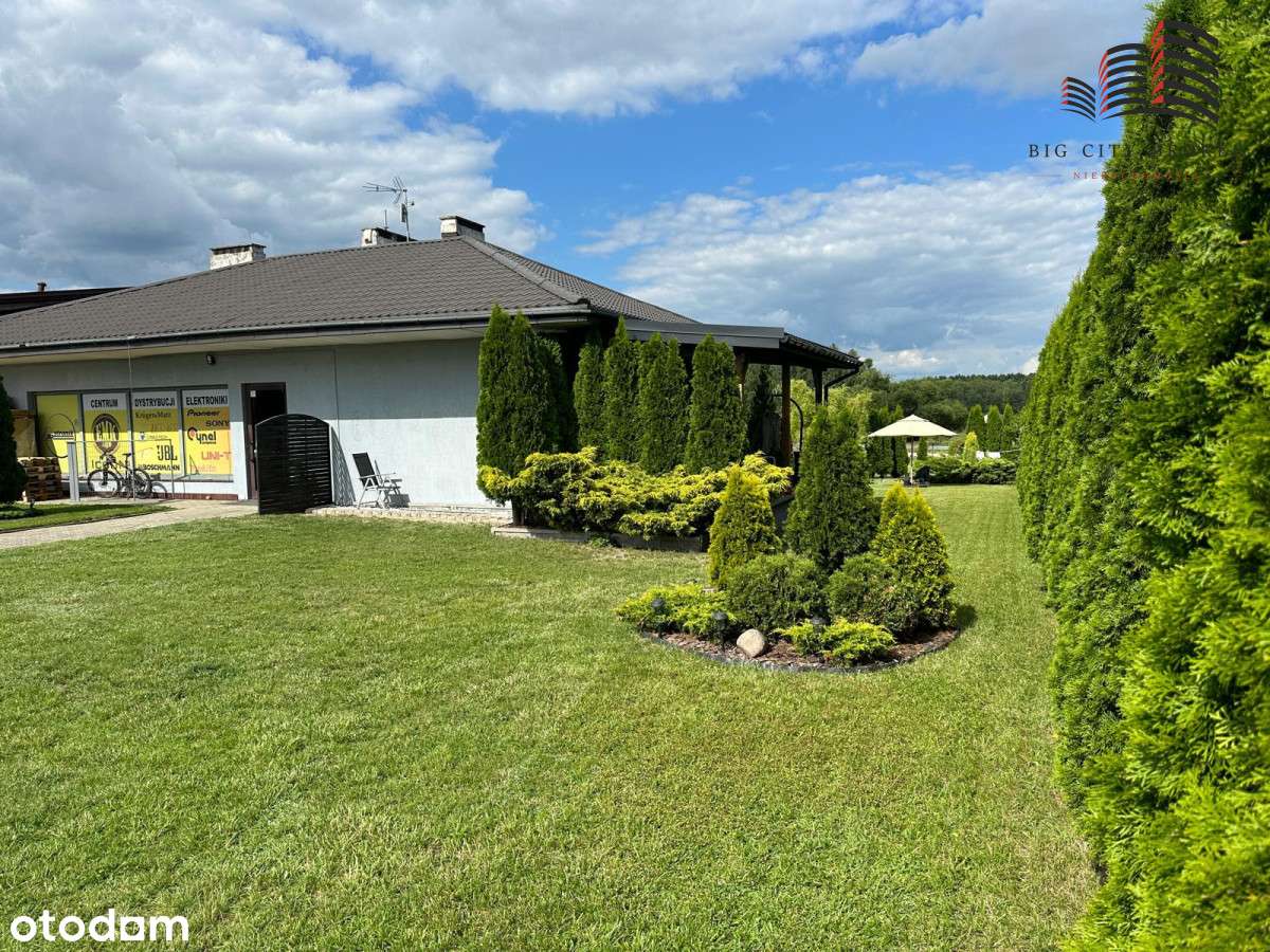 Hala magazynowo-produkcyjna przy S17 - Pełny obrazek: 5/20