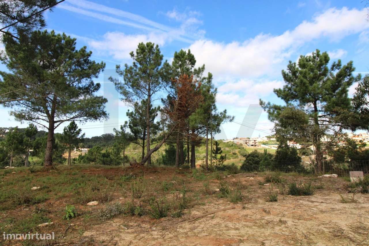 Terreno urbano com 1900m2 no Sobreiro | Mafra - Grande imagem: 3/28