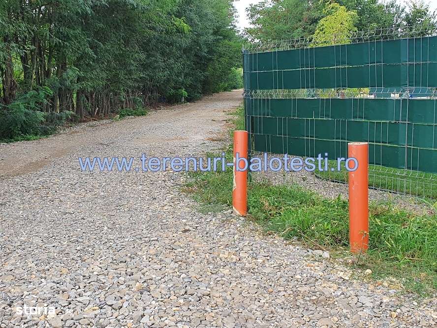 Teren Balotesti,vecinatate Dn1, utilitati+asfalt la 60 metri-2