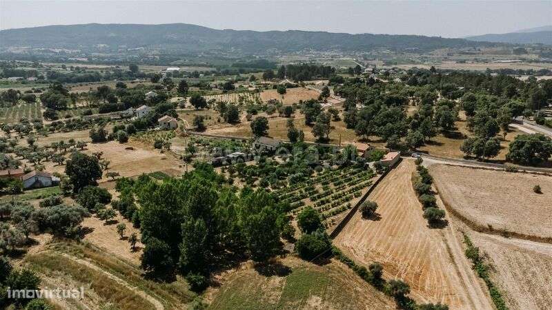 Quintinha T3 / Fundão, Aldeia Nova - Grande imagem: 2/20
