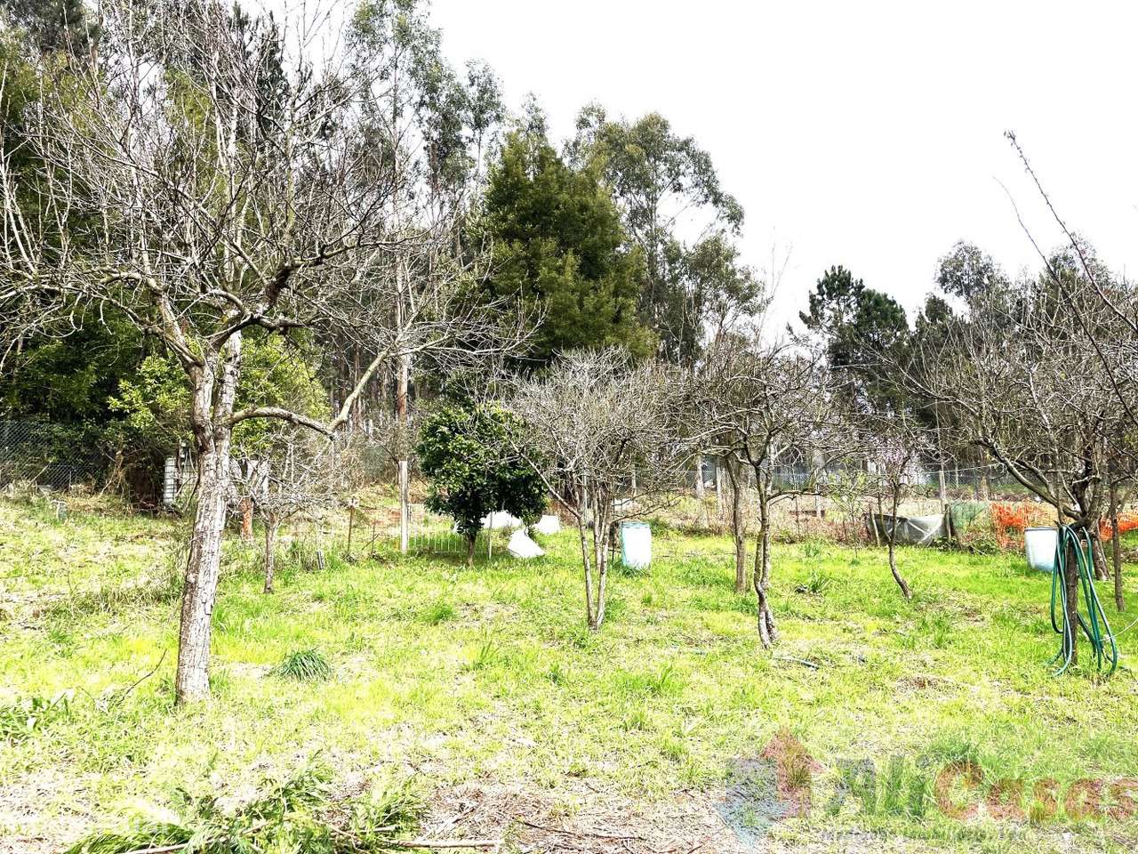 Vivenda Isolada C/ 2.719m2 de Terreno-57