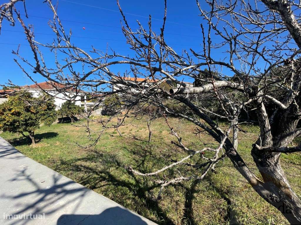 Projeto aprovado para para 2 moradias geminadas - Ceira - Grande imagem: 5/13