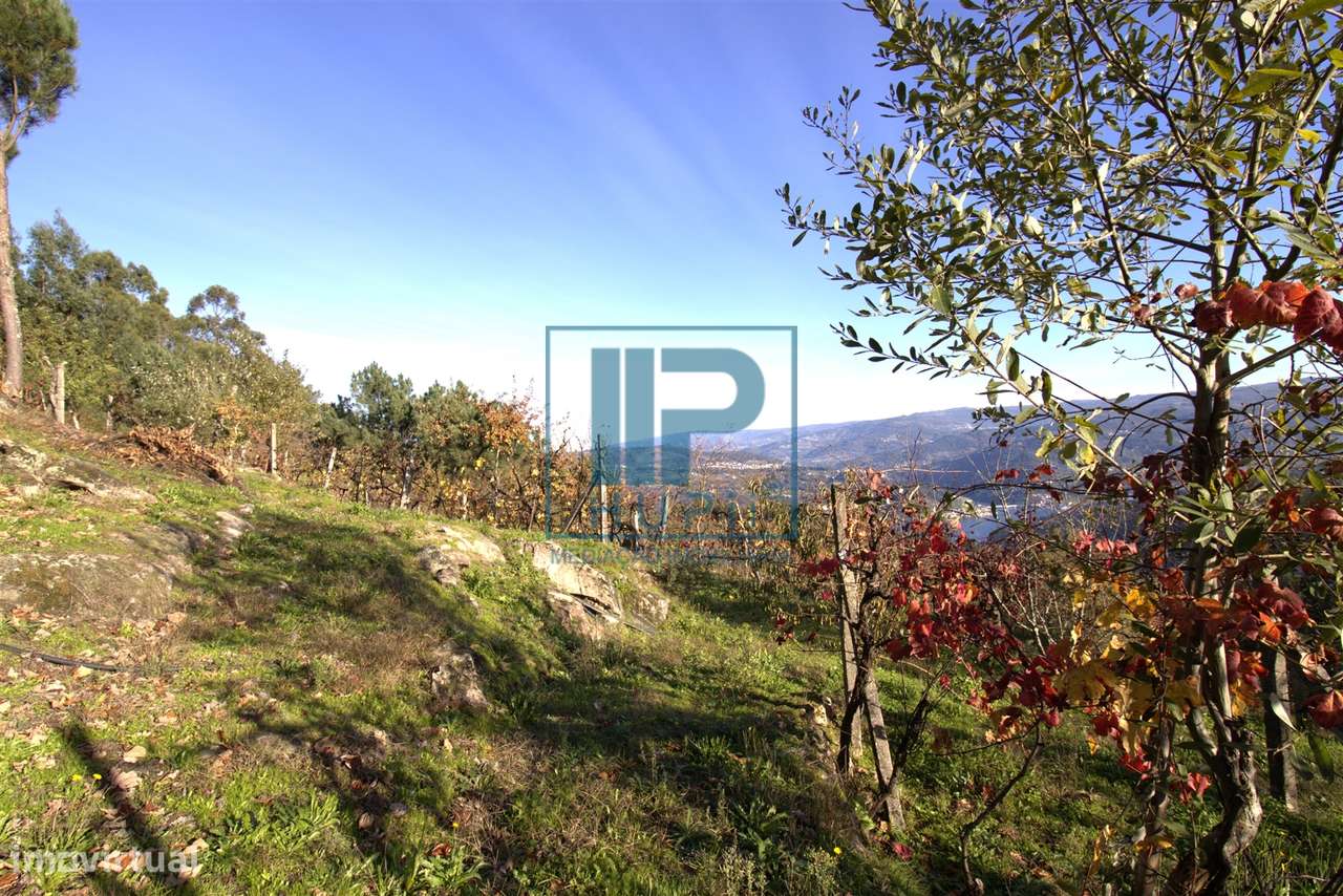 Quinta T3+1 Venda em Penhalonga e Paços de Gaiolo,Marco de Canaveses-26