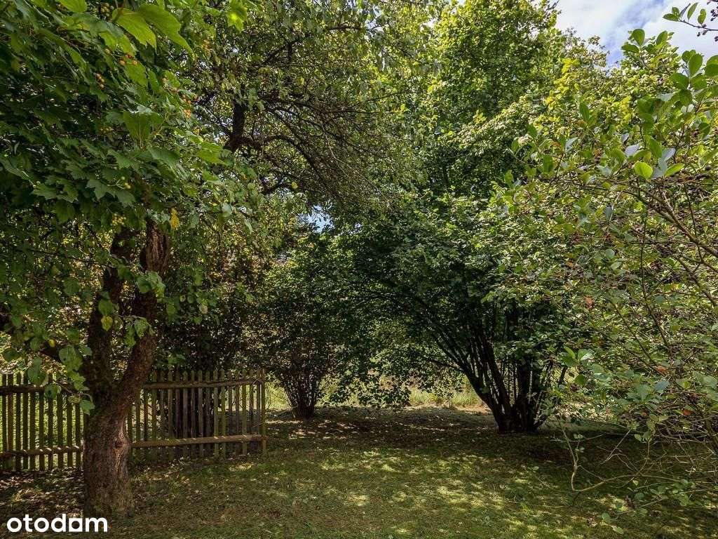 Duży metraż | Działka 52 ary | Piękna okolica-17