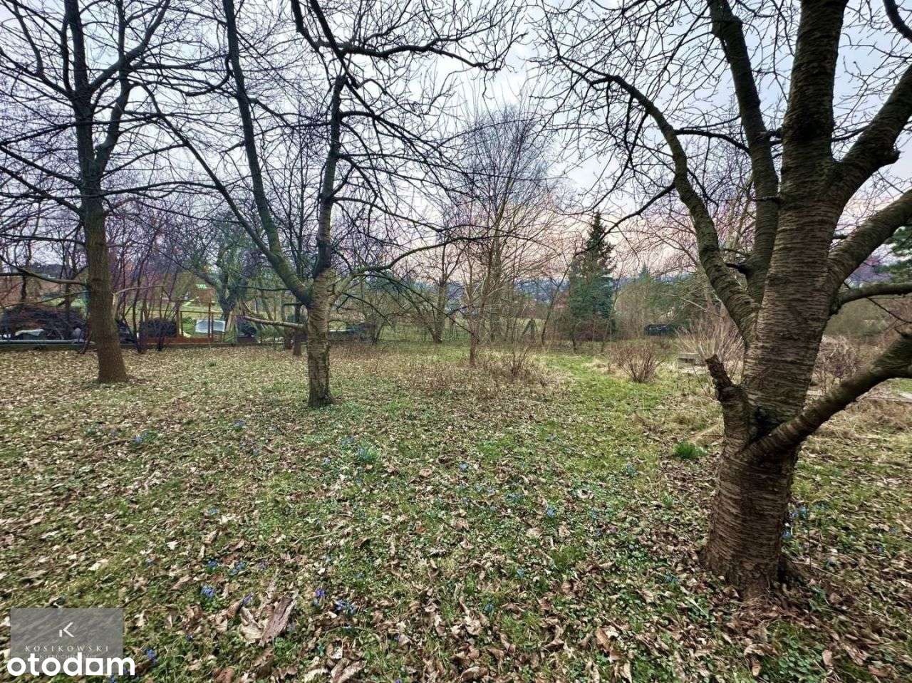 Dom, 156 m², Międzybórz - Pełny obrazek: 5/13