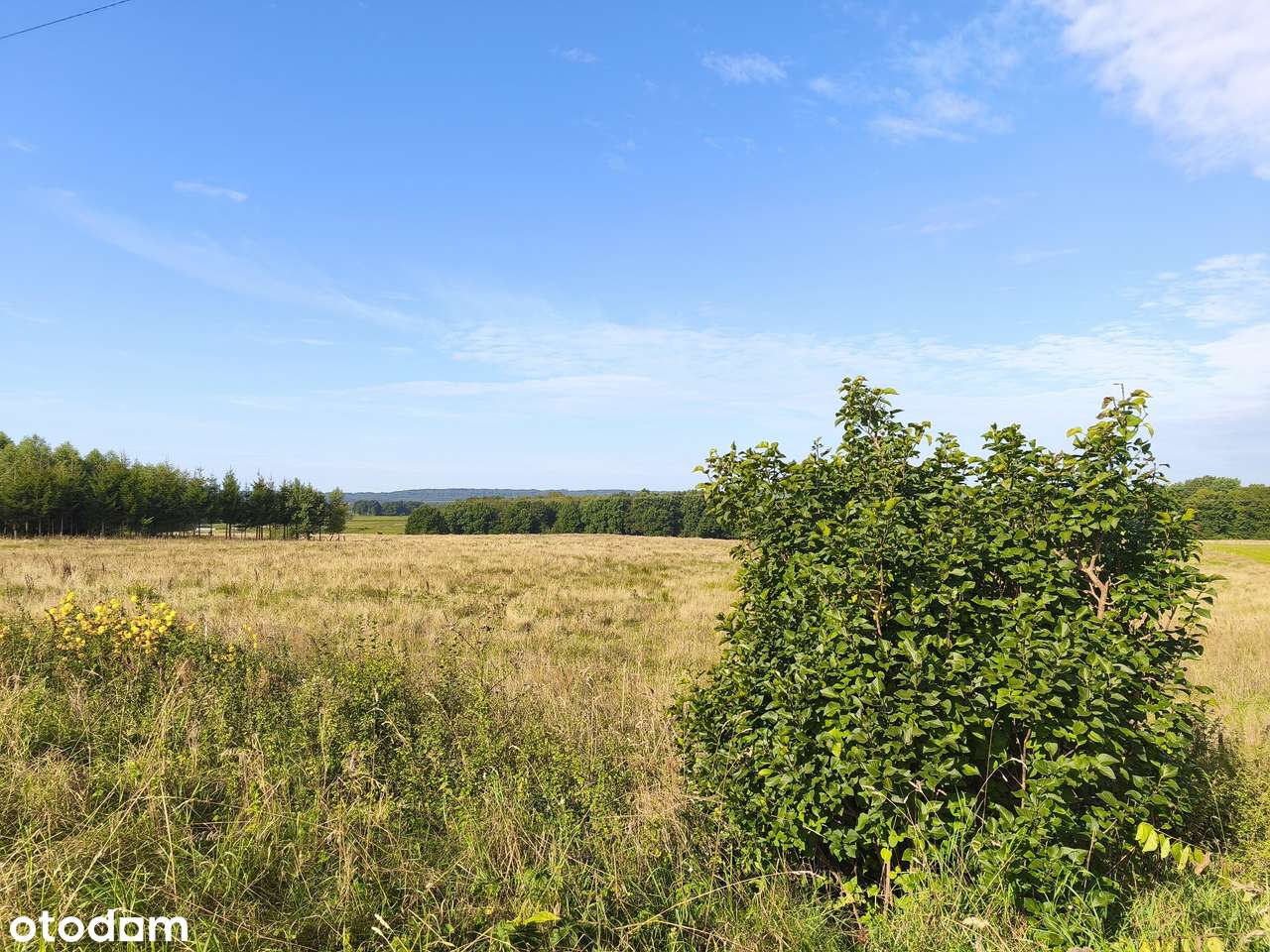 Z dala od spojrzeń sąsiadów-2