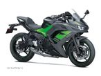 Kawasaki Ninja - 3