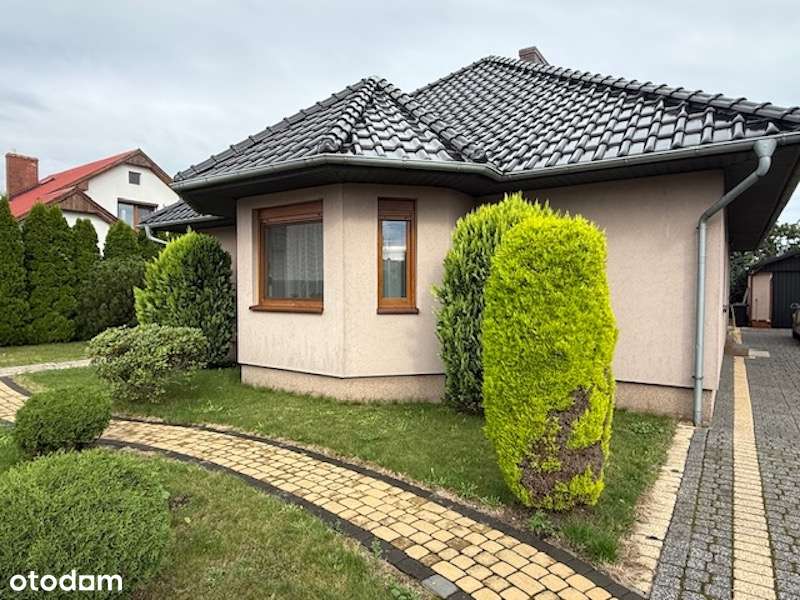 Lipno - Wiosenna dom wolnostojący - Pełny obrazek: 4/15