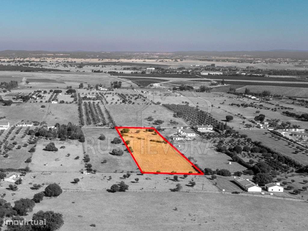 Terreno rústico, em São Miguel de Machede, sem viabilidade de const... - Grande imagem: 5/10