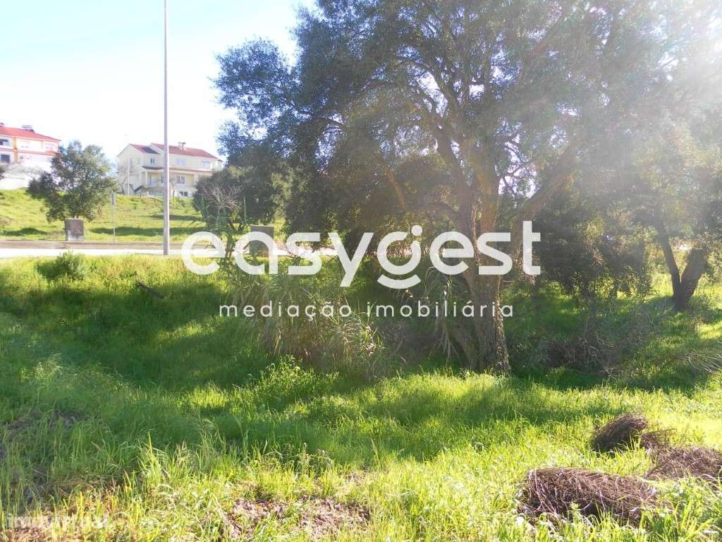 Lote de Terreno Urbano 253m2 para Moradia - Entroncamento - Grande imagem: 2/8