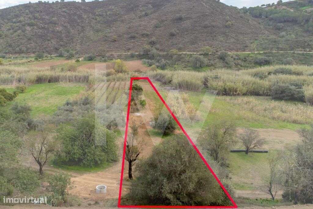 Terreno para agricultura | 920m2 | Margem da Ribeira | Odeleite - Grande imagem: 4/22