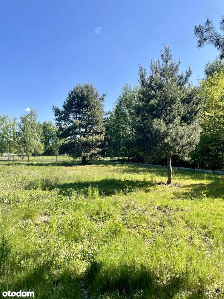 OSTATNIA WOLNA DZIAŁKA 9ar – Tarnobrzeg ul. Zakrzowska-Mokrzyszów-4