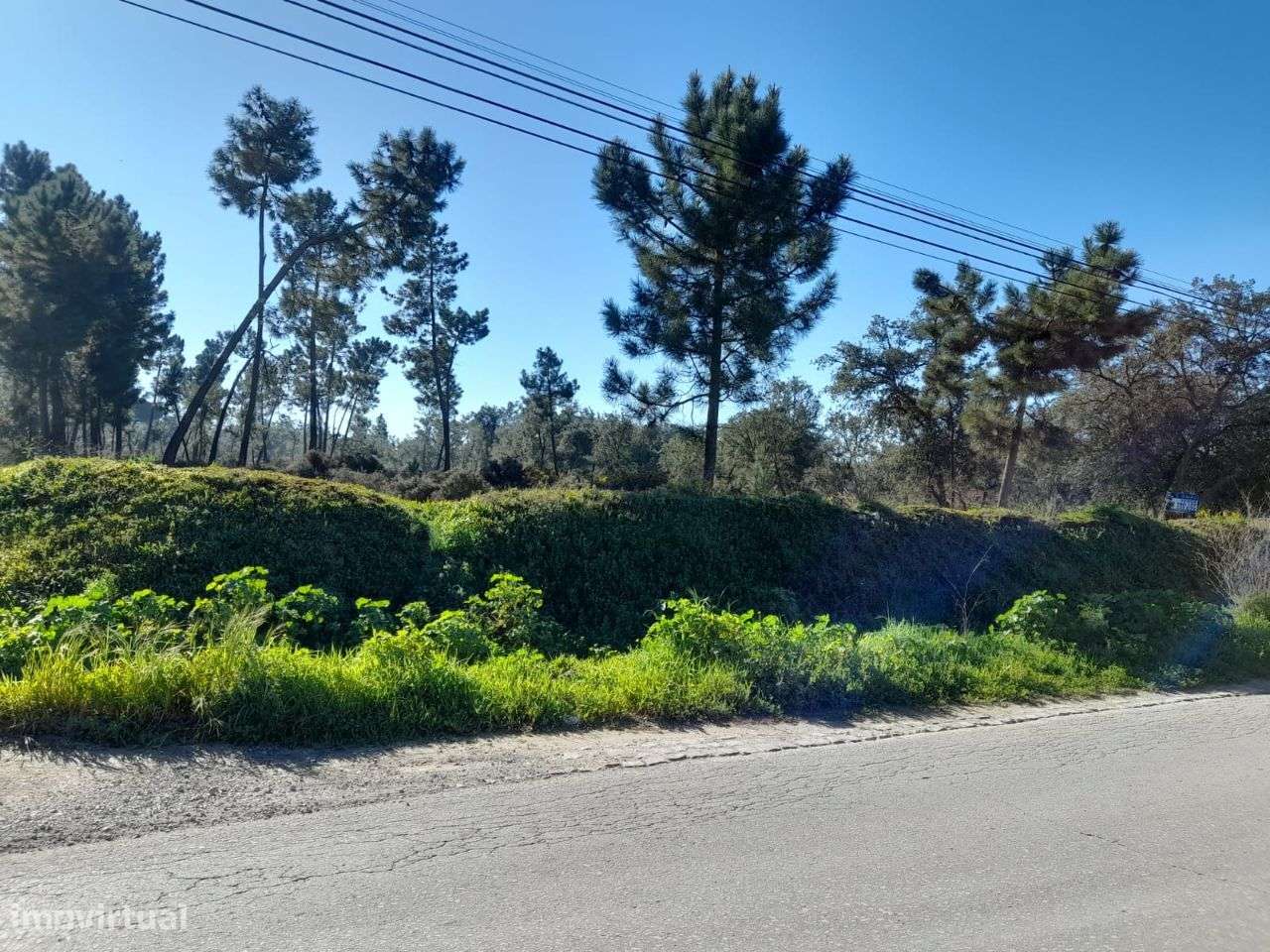 Azeitão Terreno com 10500 M2 de gaveto.-9