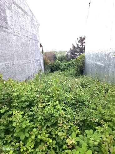 Lote de Terreno para Construção – 300m2 | Próximo à Cidade-2