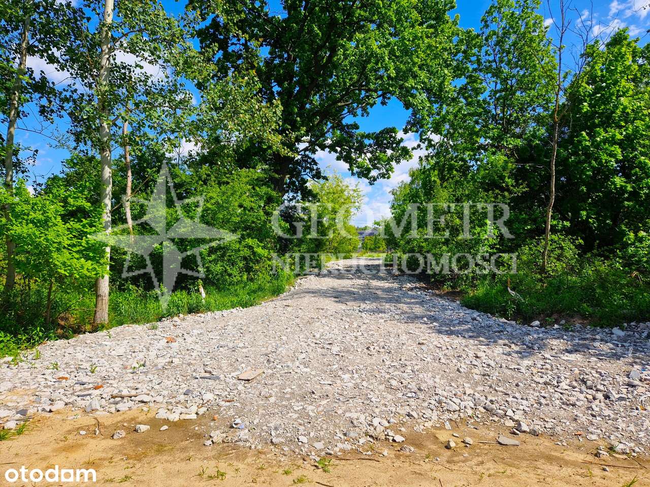 na granicy z Warszawą, pod lasem-9