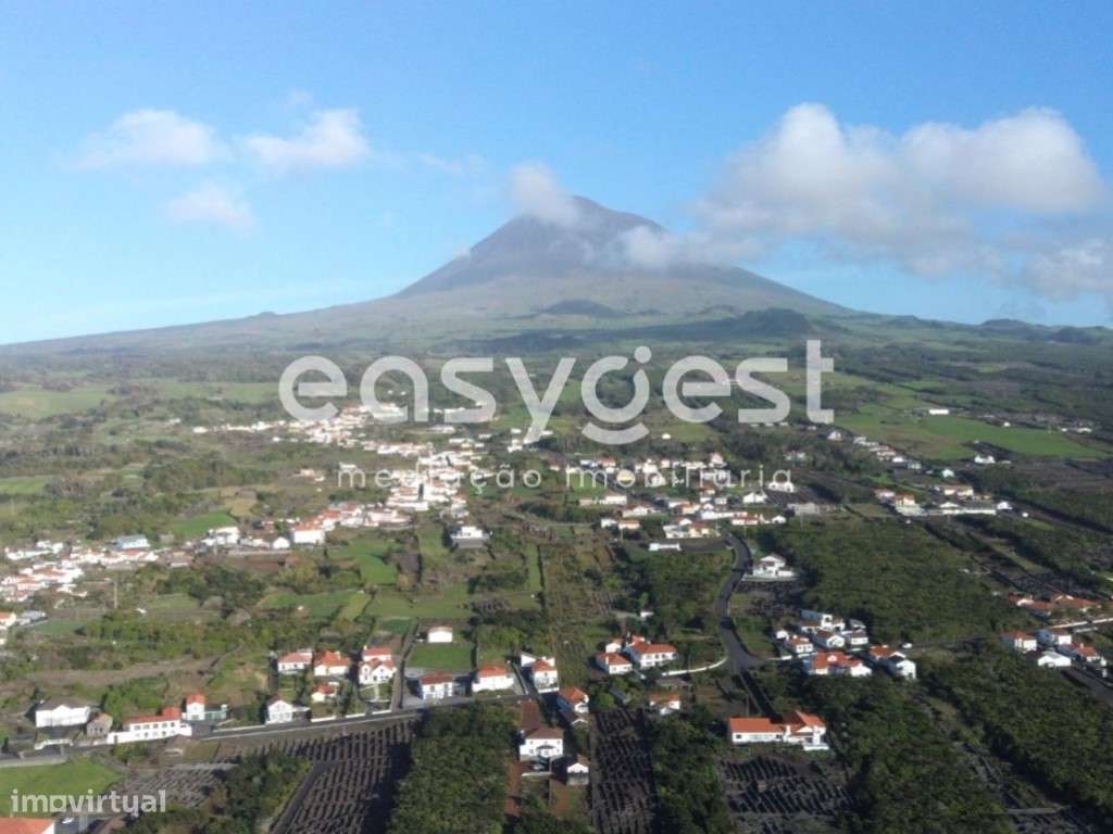 Vinha na zona costeira do Lajido da Criação Velha na ilha do Pico - Grande imagem: 2/19
