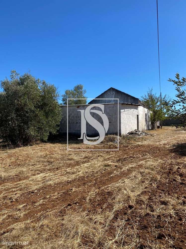 Terreno com Edifício Armazém – Charneca, Vila Morena (Alcanena) - Grande imagem: 5/6