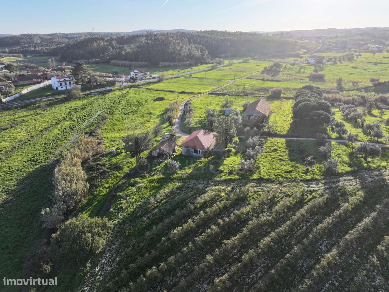 Moradia T2+1 c/ Anexo & Armazém em Lote de 7.600m2-5