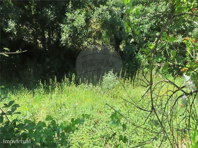 Quinta  para venda-25