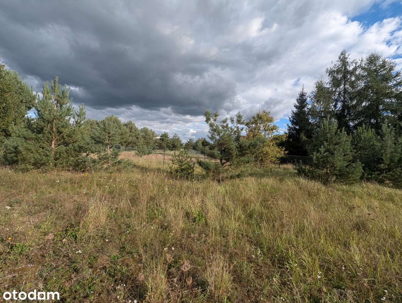 działka w mieście w pobliżu lasu - Pełny obrazek: 3/6