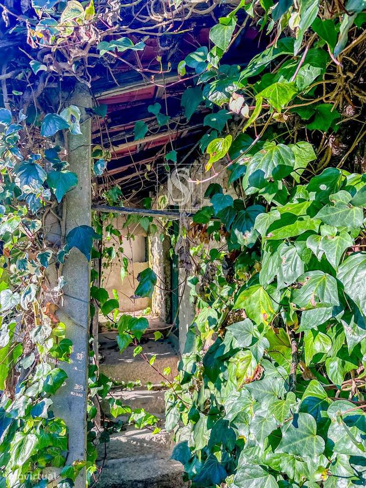 Moradia para Restauro com Terreno - Cepelos Amarante-24