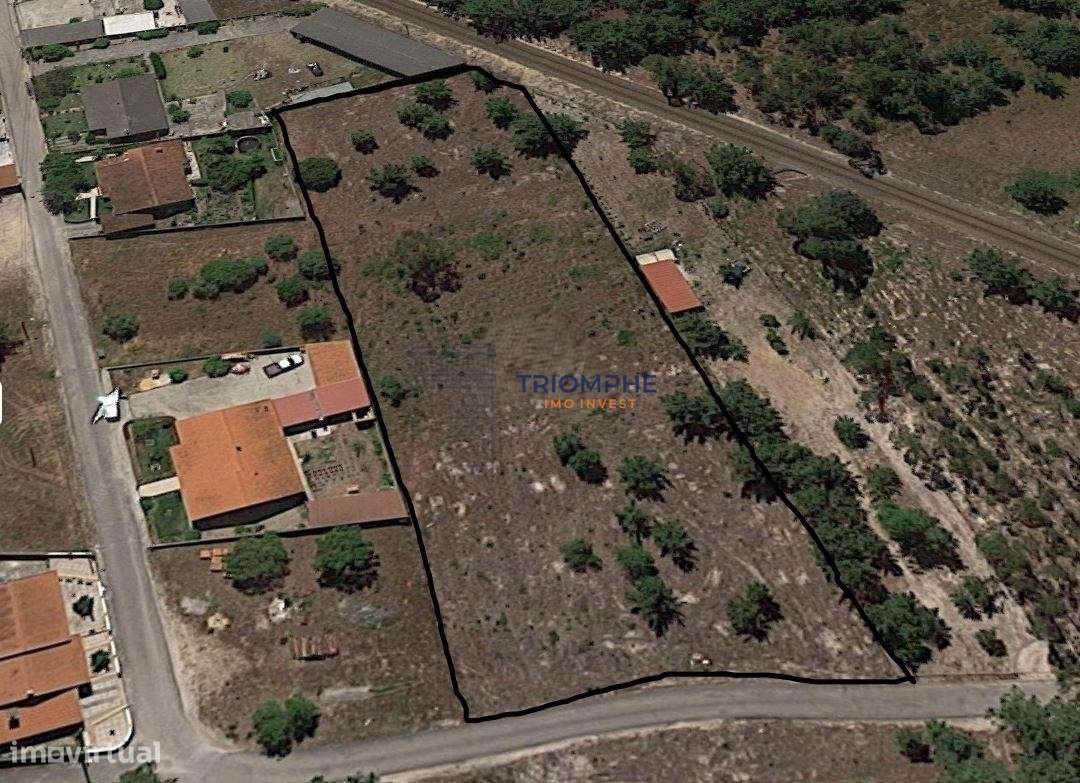 Terreno Urbanizável 4.500m2 Pataias, Alcobaça - Grande imagem: 5/5