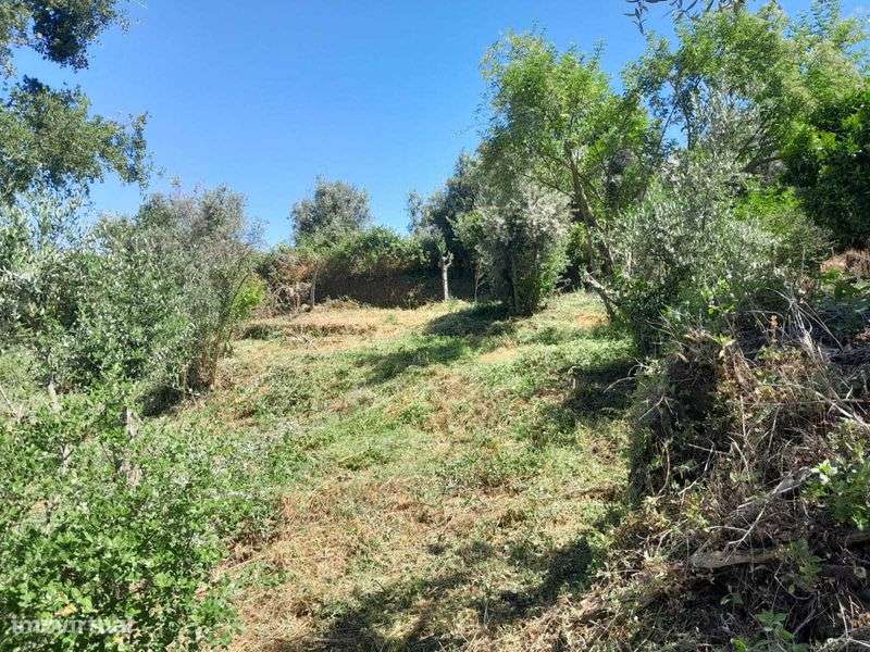 Terreno Urbano para construção na Serra e Junceira - Grande imagem: 4/9