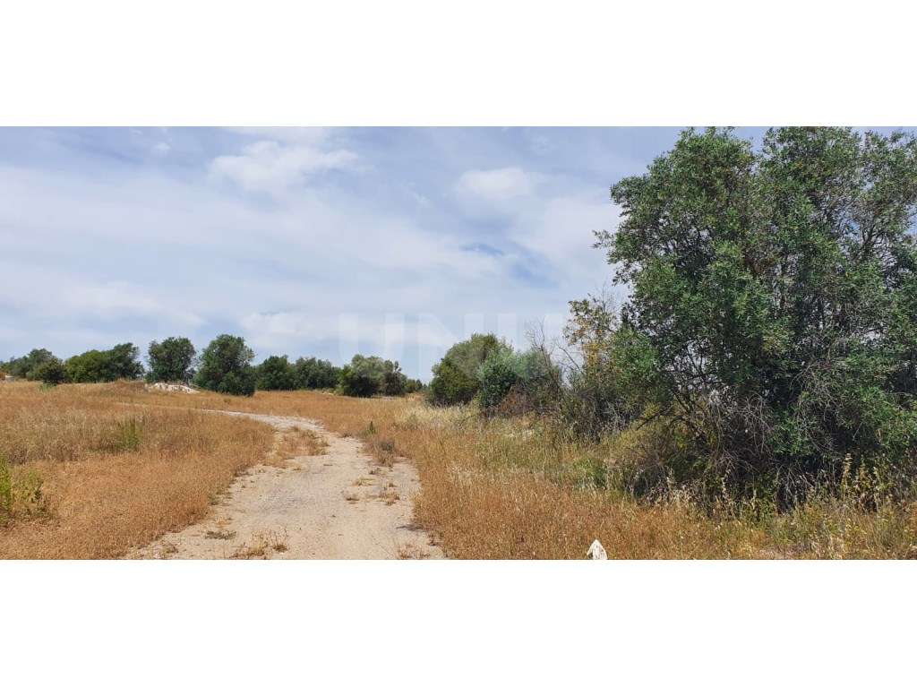 Terreno em Reguengos de Monsaraz-11