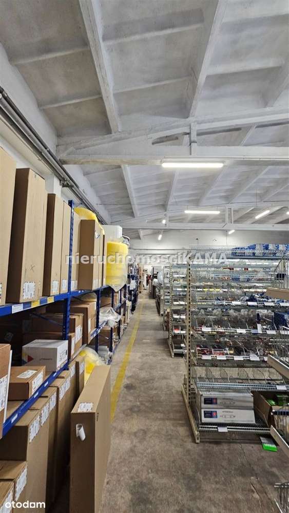 Hala/Magazyn, 1 603,55 m², Bielsko-Biała-3