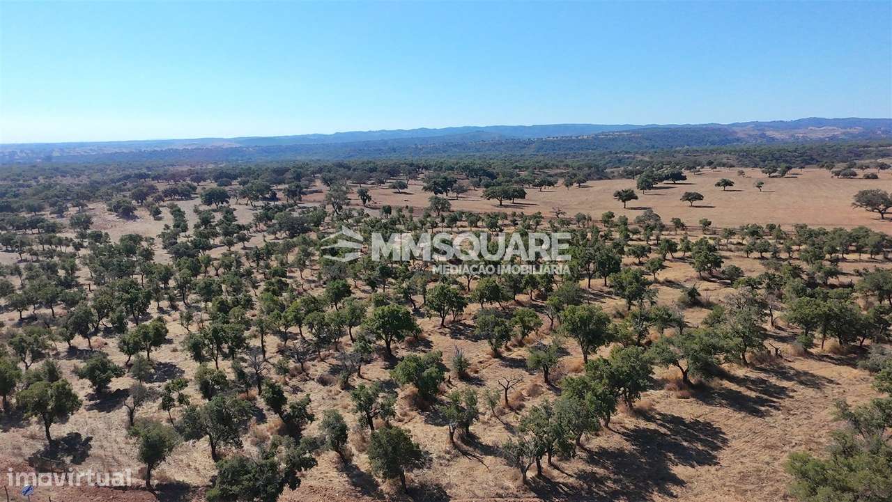 Herdade  Venda em Garvão e Santa Luzia,Ourique-31