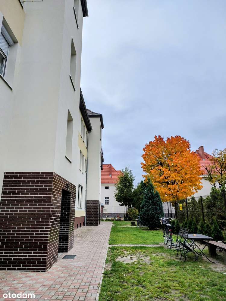 Parter: jasny, ciepły, dostatni/ piwnica 12  m2 / do negocjacji - Pełny obrazek: 4/4