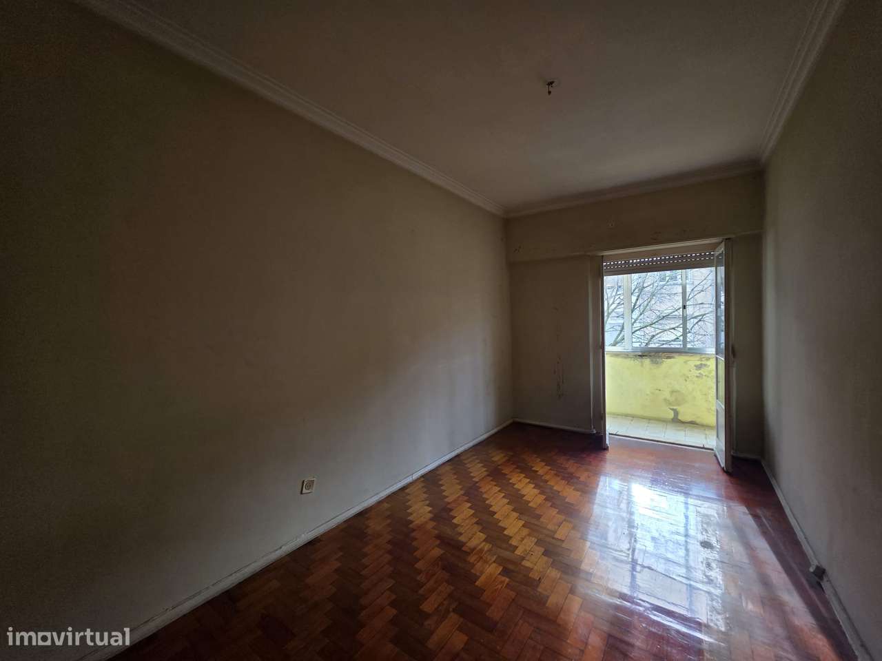 T2 Benfica - Grande imagem: 4/5