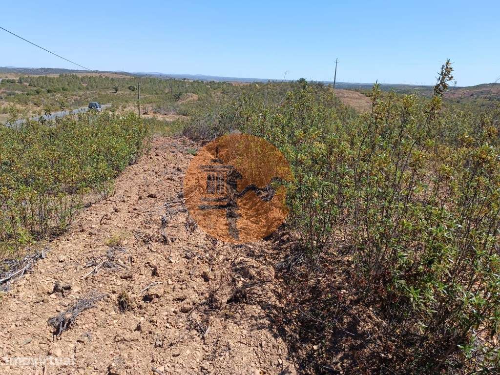 TERRENO COM 34.700 M2 - POSSIBILIDADES DE CONSTRUIR UM ARMAZEM - PR...-8