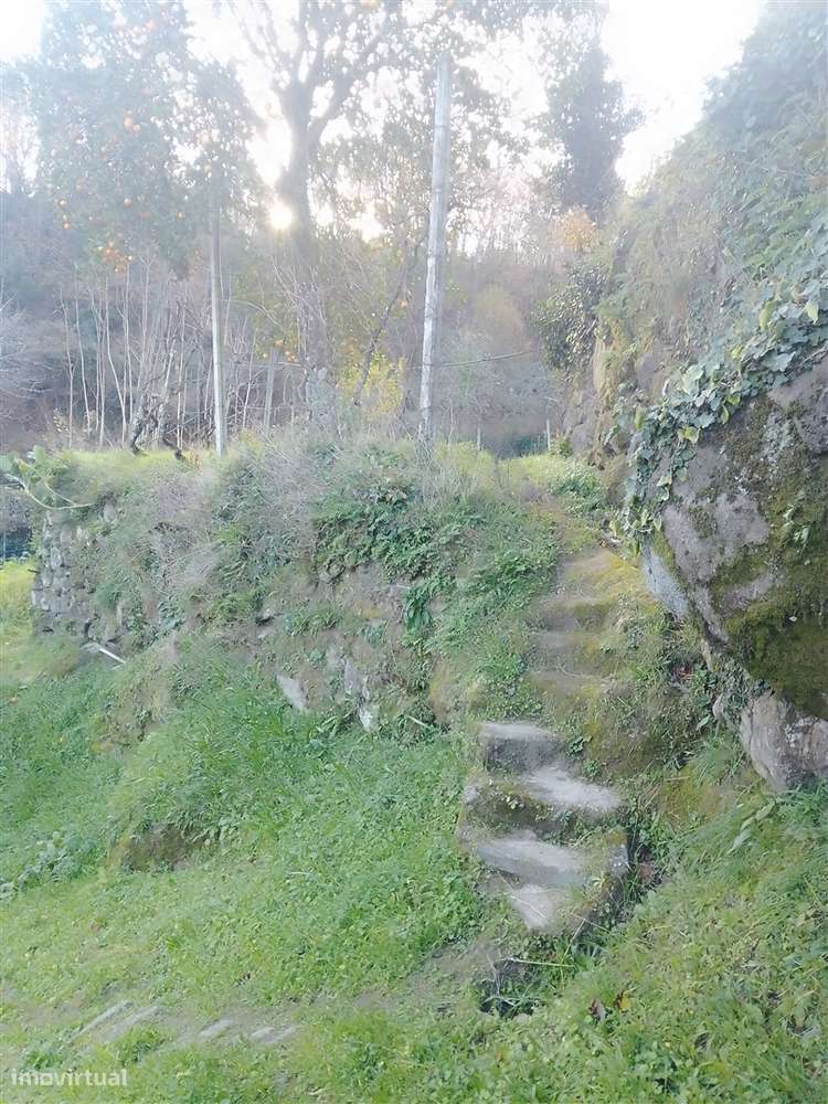 Terreno Rústico em Cinfães - Viseu Venda de Terreno em Cinfães - Viseu - Grande imagem: 5/28