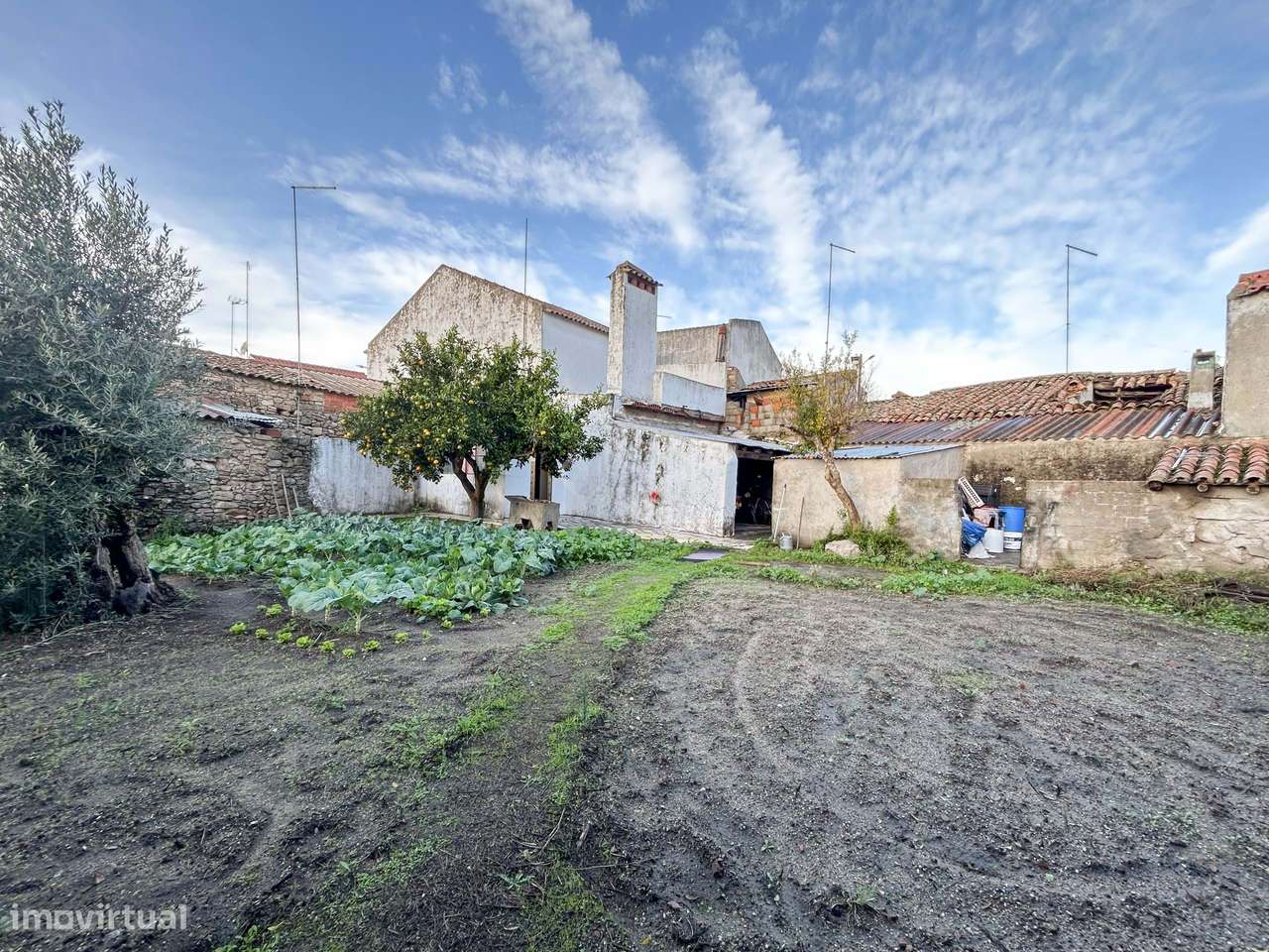 Moradia T3 habitável c/ Quintal e Enorme Potencial de Transformação –-44