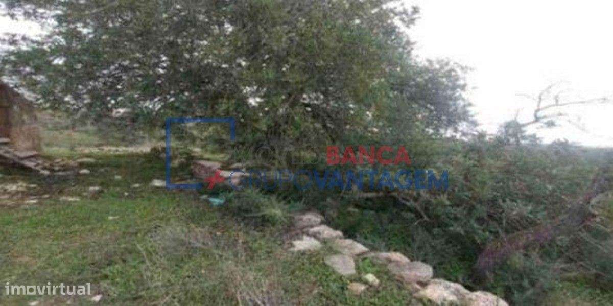 Terrenos mistos, 21 880m2, localizados no Sítio das Fontainhas, Con... - Grande imagem: 3/7