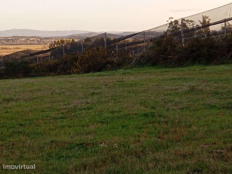 Terreno de construção - Grande imagem: 4/8