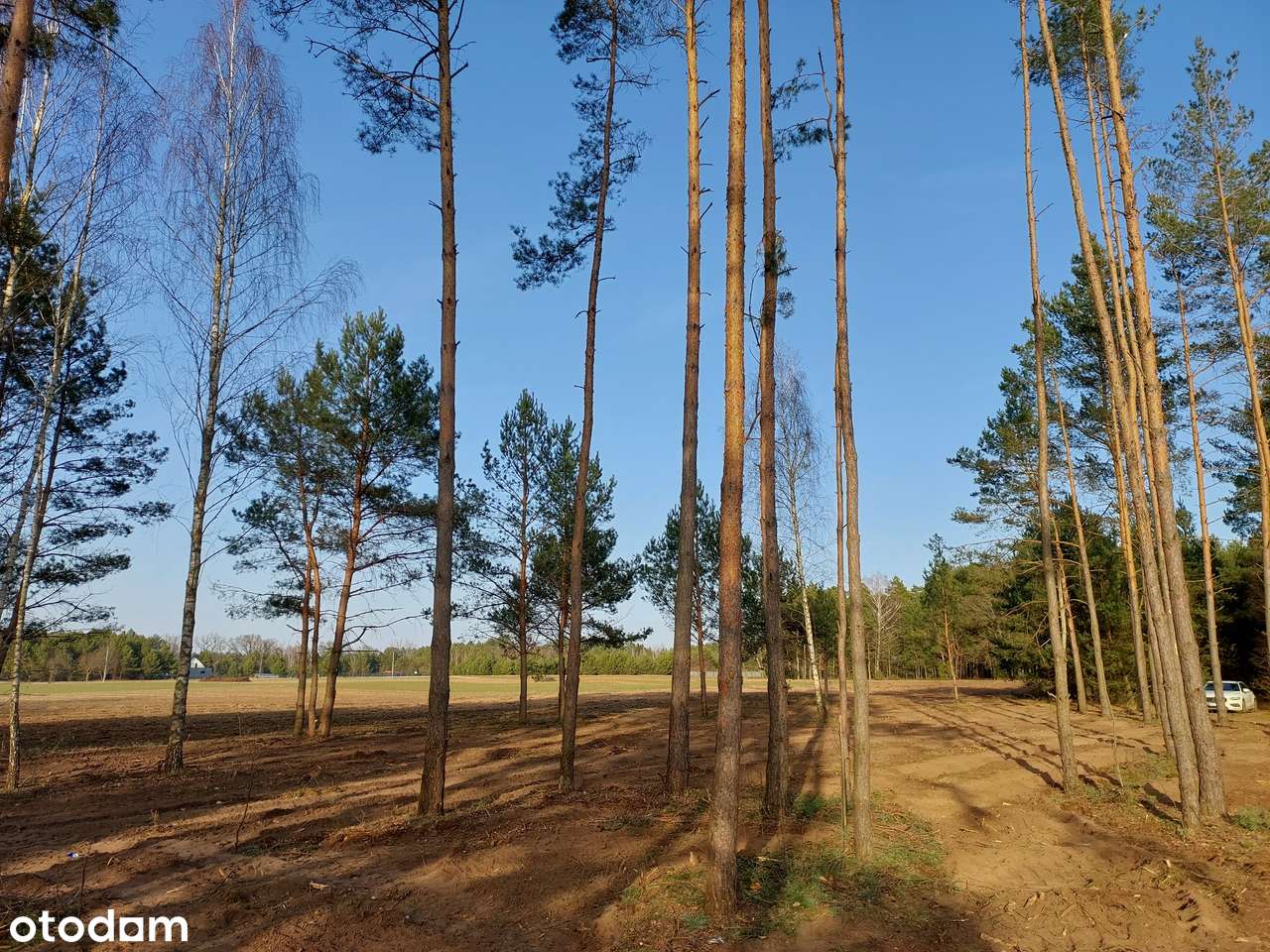 Rogóźno 1261m2 piękna działka blisko rzeki i lasu - Pełny obrazek: 5/12