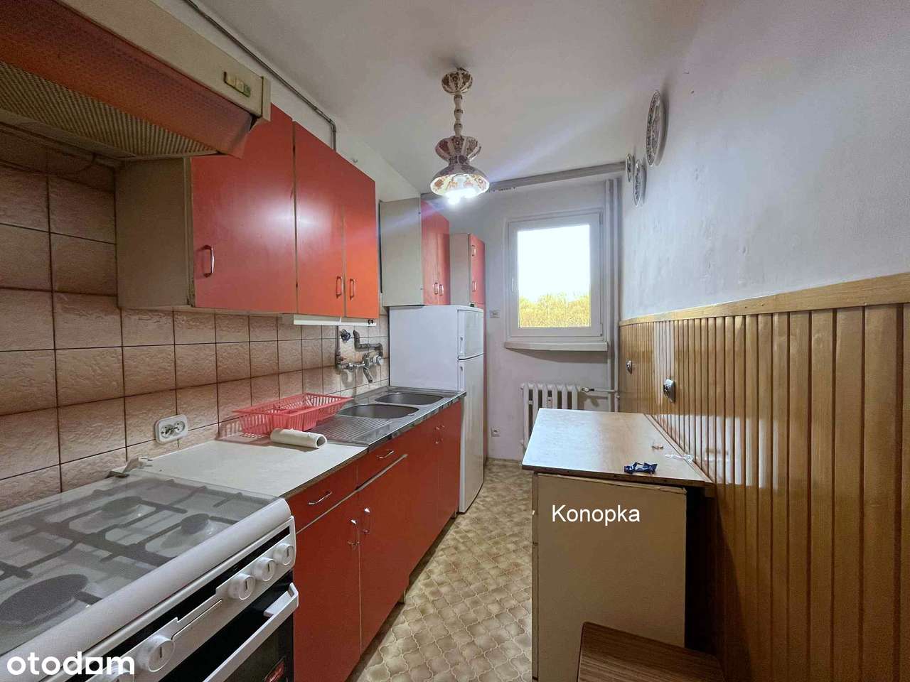 Do własnej aranżacji wolne od zaraz-0